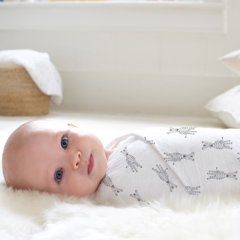 Aden and anais clearance swaddle plus